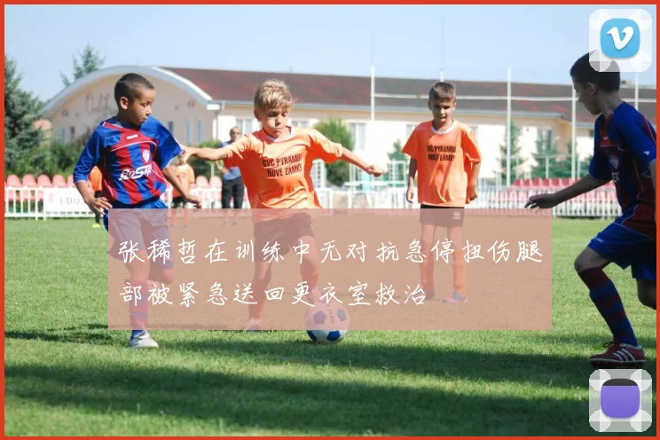 张稀哲在训练中无对抗急停扭伤腿部被紧急送回更衣室救治